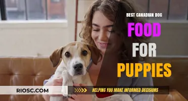 Nourishing the Next Generation: Top Canadian Dog Food Picks for Puppies