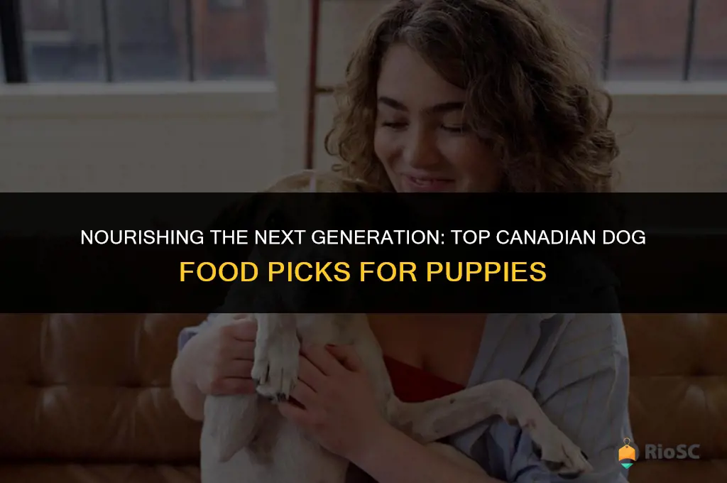 best canadian dog food for puppies
