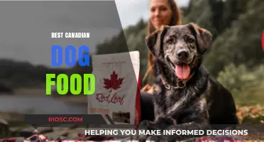 Top Canadian Dog Food Brands: Nutritious and Delicious Options for Your Furry Friend