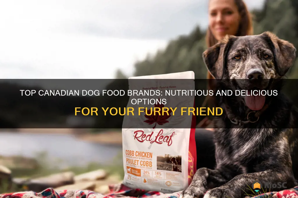 best canadian dog food