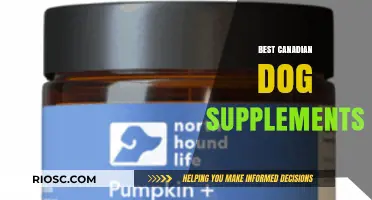 Top Canadian Dog Supplements for Optimal Health and Vitality