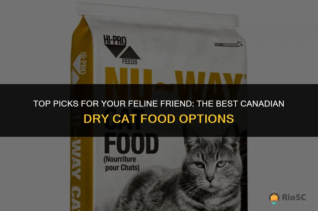 best canadian dry cat food