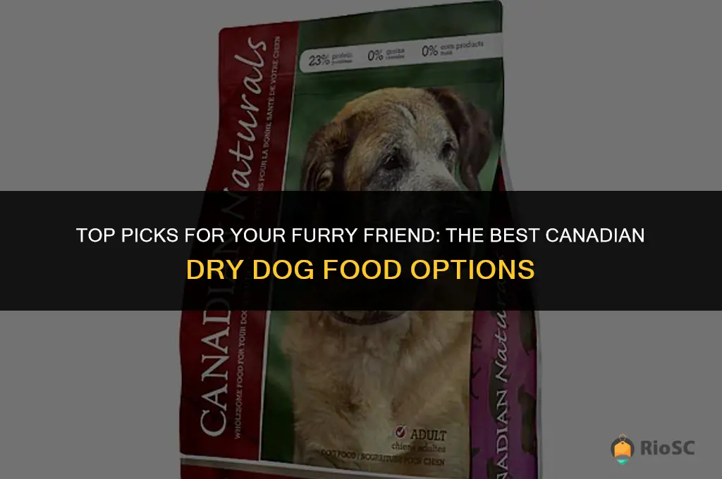 best canadian dry dog food