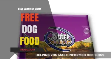 Top Grain-Free Dog Food Options in Canada: A Comprehensive Guide for Pet Owners