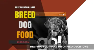 Top-Rated Large Breed Dog Foods in Canada: A Comprehensive Guide for Pet Owners