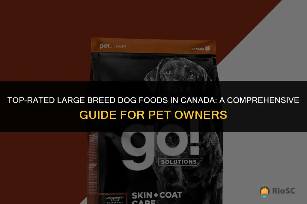 best canadian large breed dog food