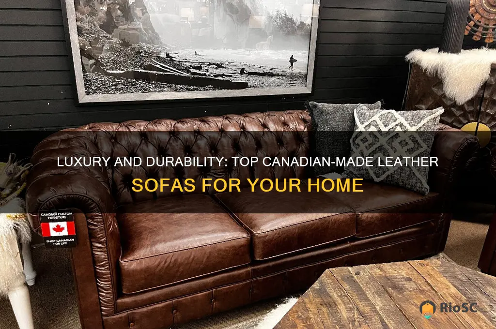 best canadian made leather sofas