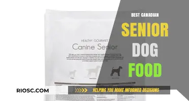Top-Rated Canadian Senior Dog Food: Nourishing Your Aging Companion