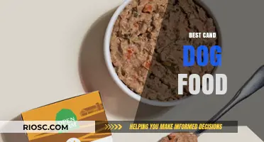 Top Picks for Your Furry Friend: The Best Canned Dog Foods of 2024