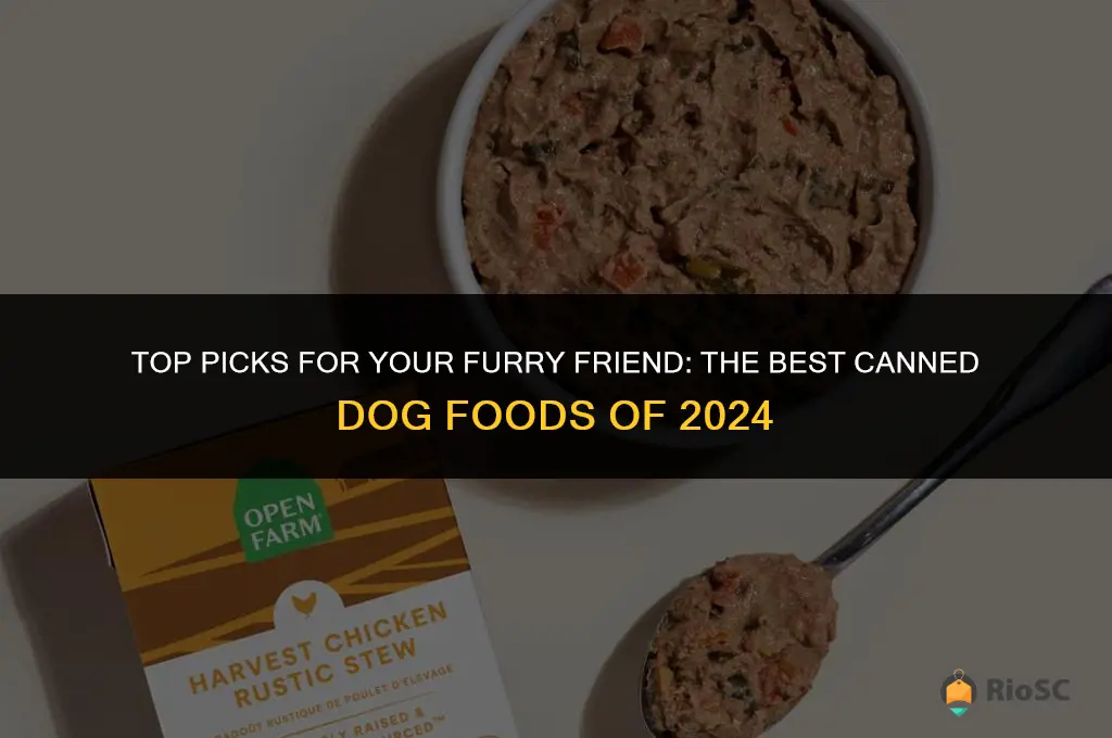 best cand dog food