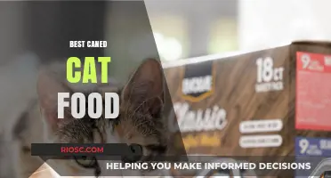 Top Picks for Your Feline Friend: The Best Canned Cat Foods of 2024