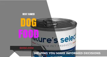 Top-Rated Canned Dog Foods: A Comprehensive Guide for Pet Owners