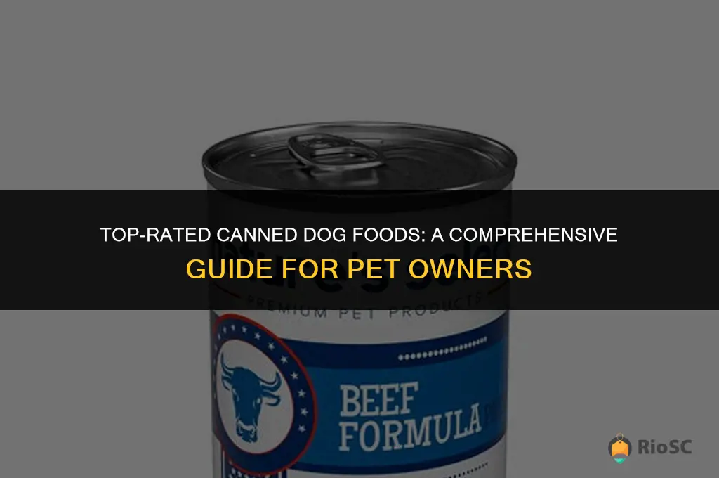 best caned dog food