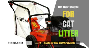Top-Rated Canister Vacuums for Effortless Cat Litter Cleanup