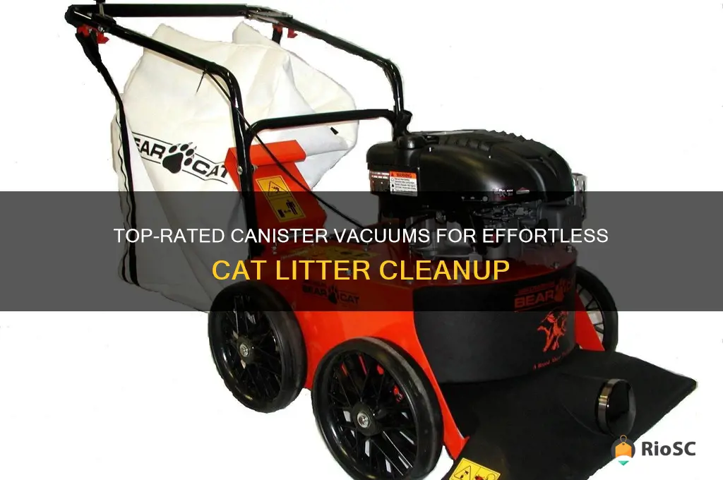 best canister vacuum for cat litter