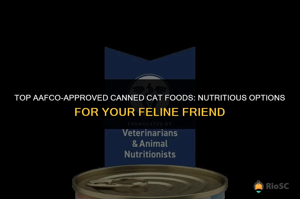 best canned cat food aafco