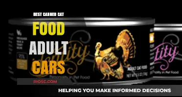 Top Picks for Adult Cats: The Best Canned Cat Food Options