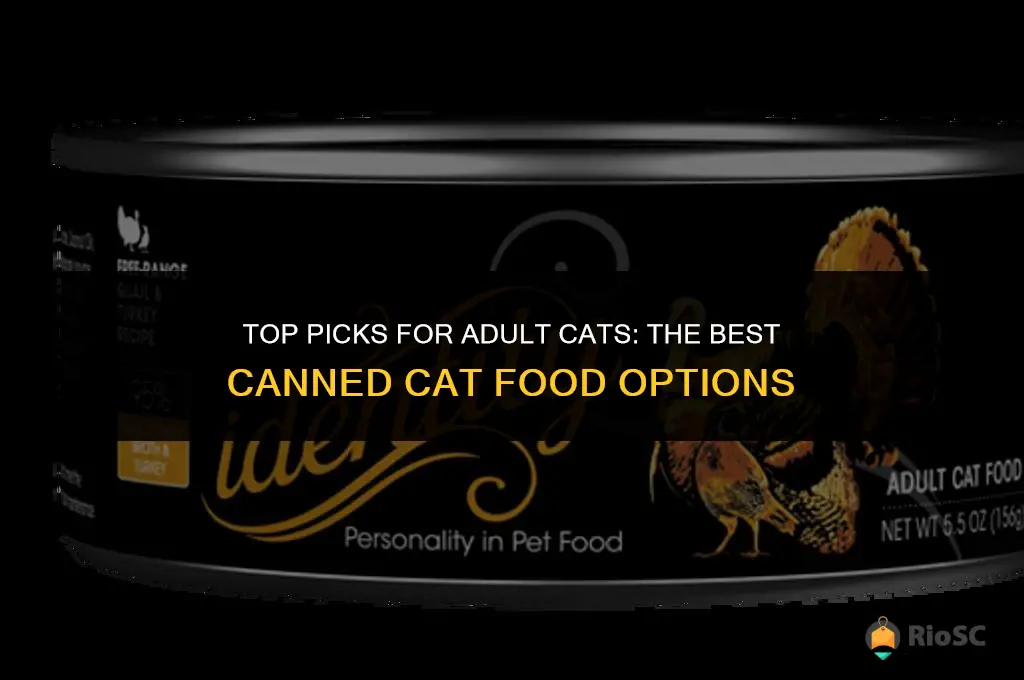 best canned cat food adult cars