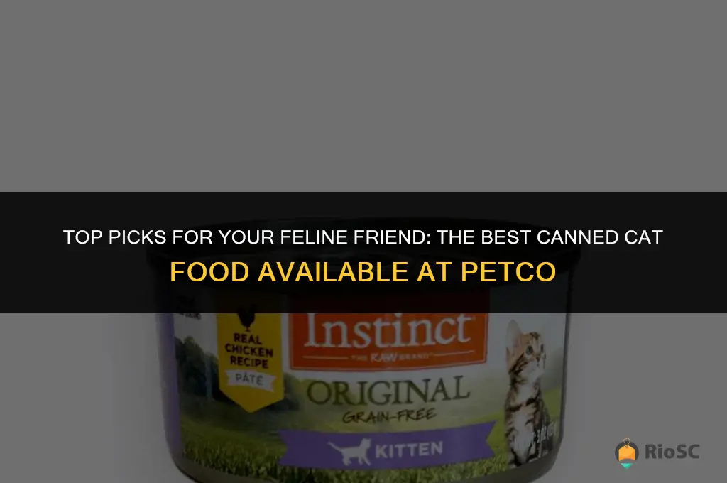 best canned cat food at petco