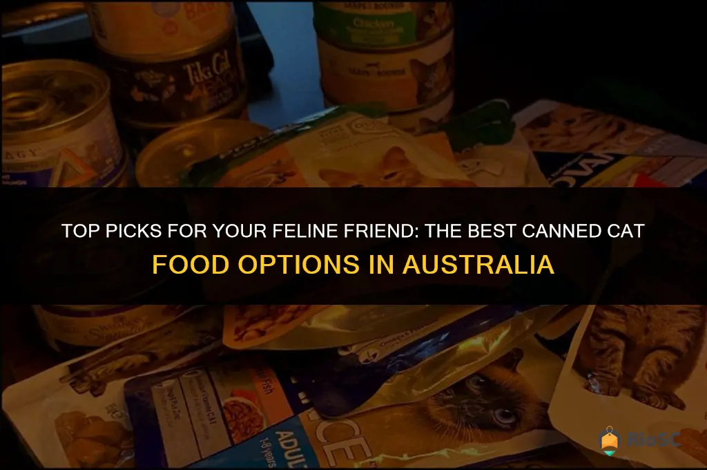 best canned cat food australia