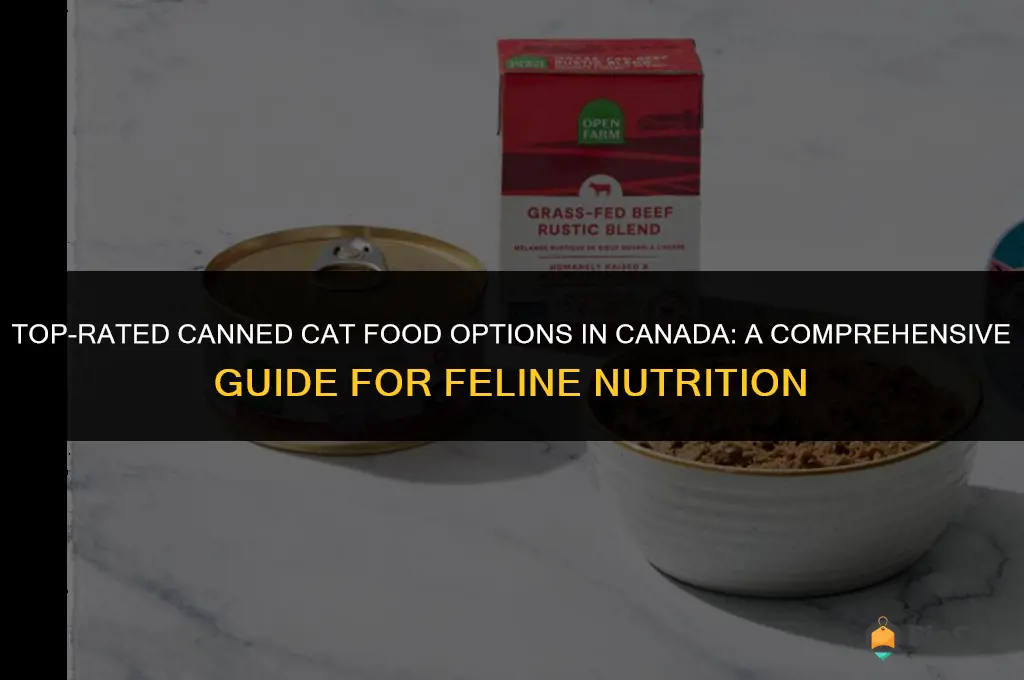 best canned cat food available in canada