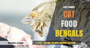 Top Picks for Bengal Cats: The Best Canned Cat Food Options