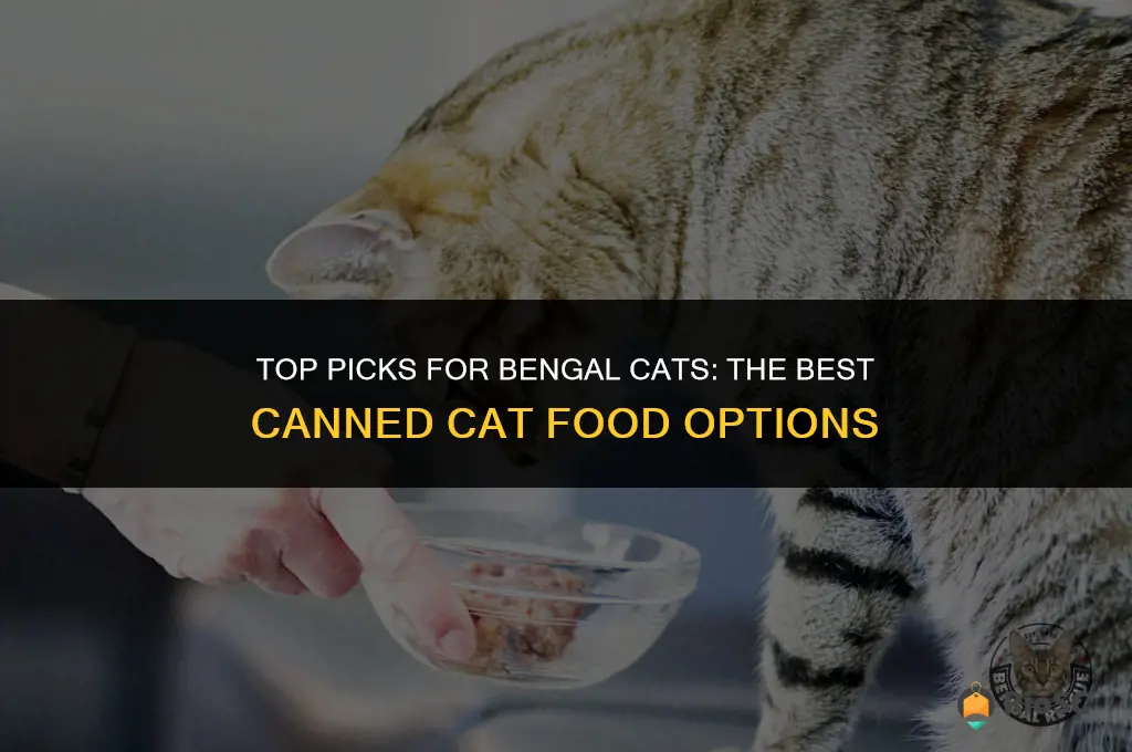 best canned cat food bengals