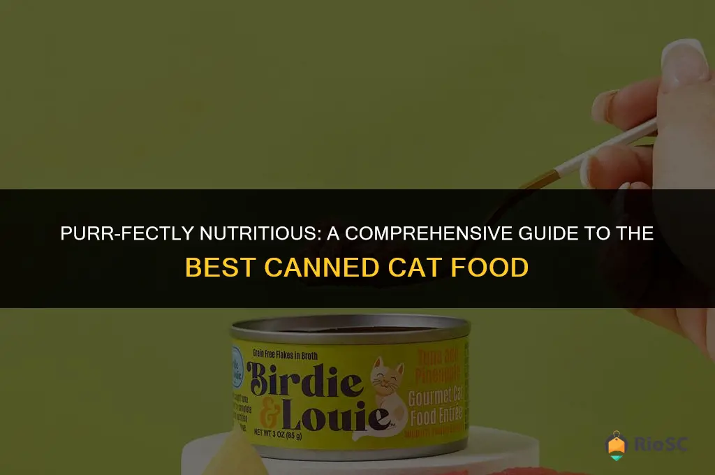 best canned cat food blog