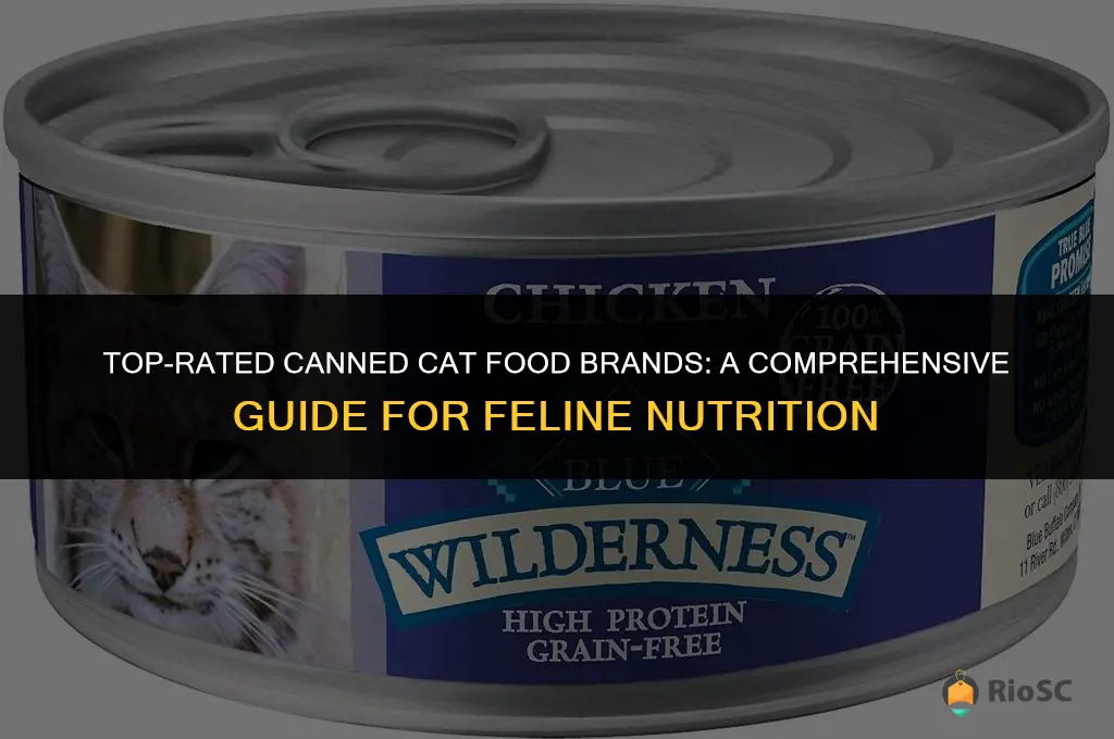 best canned cat food brands