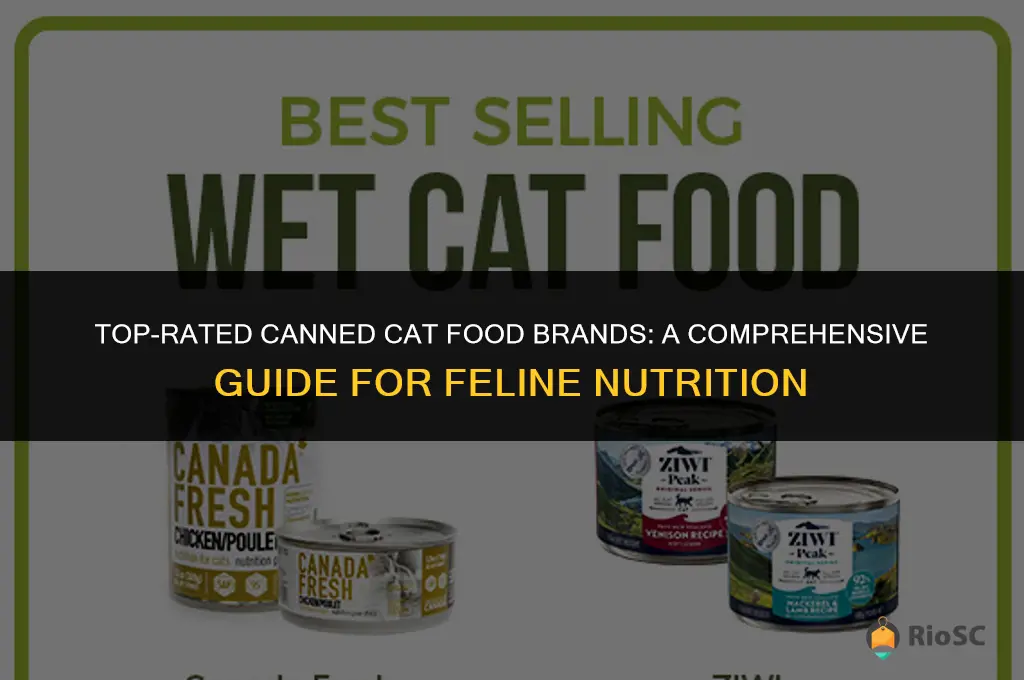best canned cat food companies