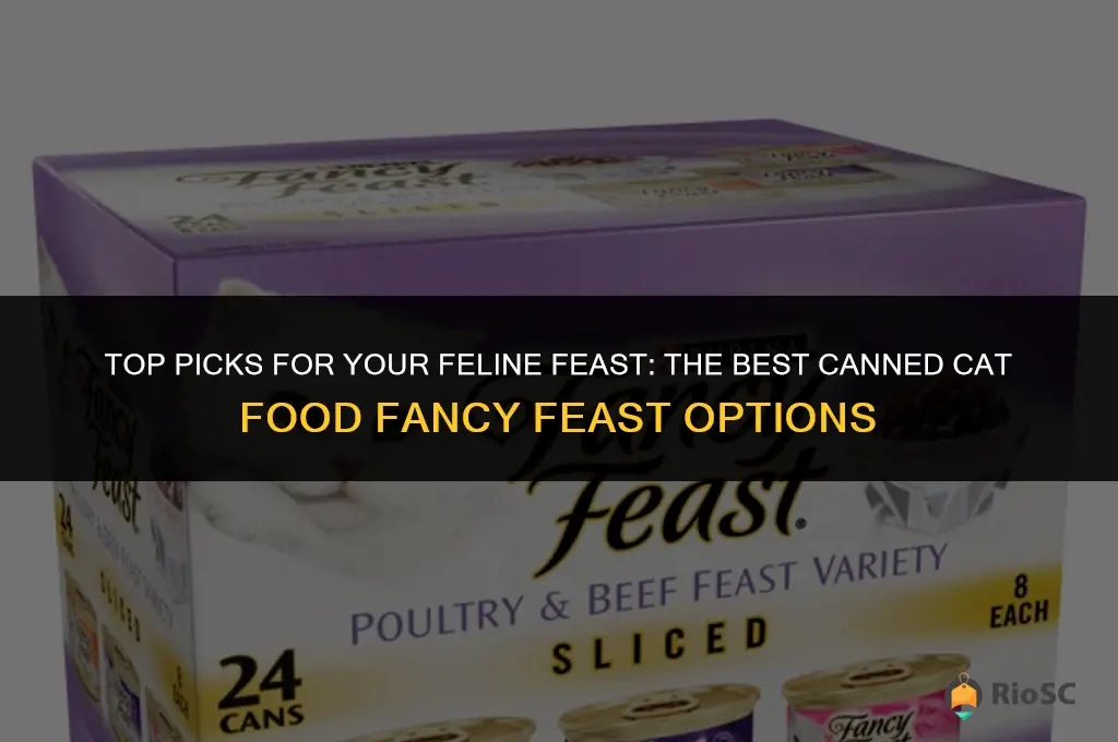 best canned cat food fancy feast