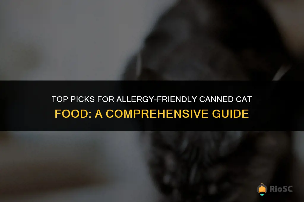 best canned cat food for allergies