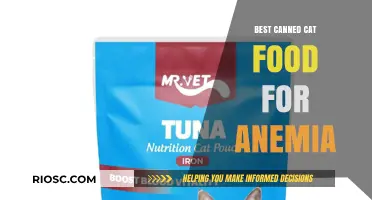 Top Picks for Canned Cat Food to Combat Anemia: A Comprehensive Guide