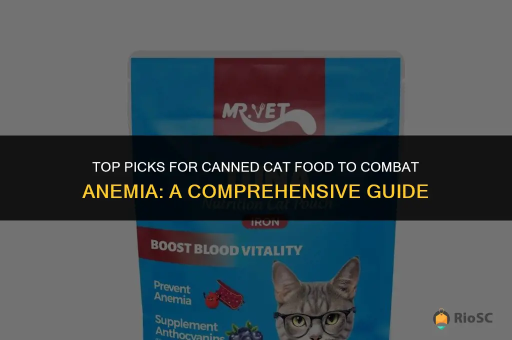 best canned cat food for anemia
