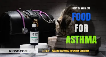 Top Picks for Canned Cat Food to Help Manage Feline Asthma