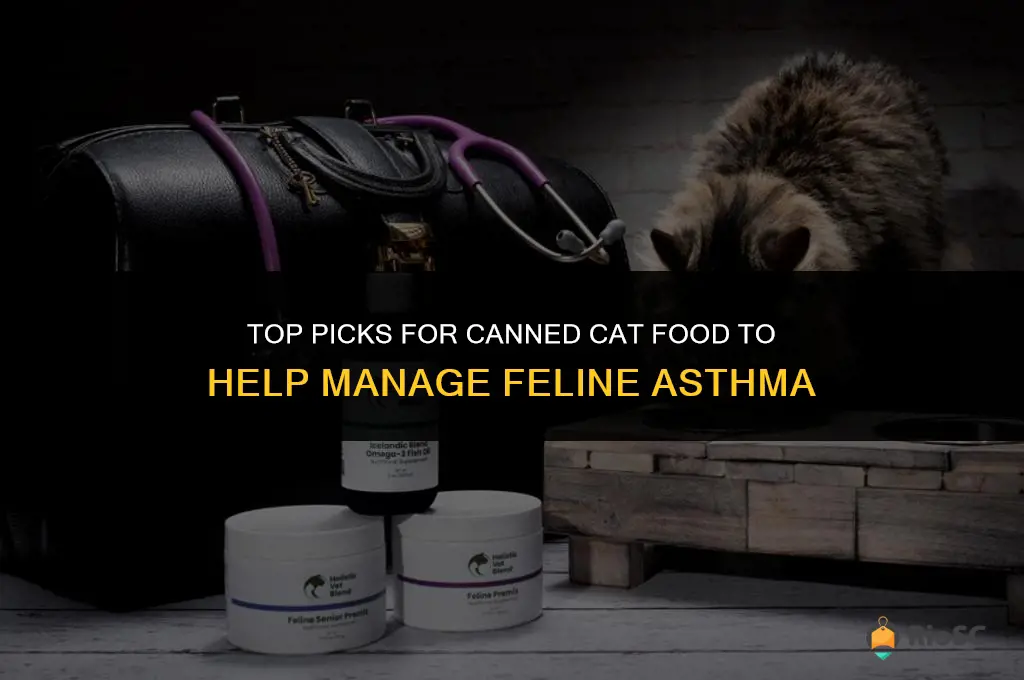 best canned cat food for asthma