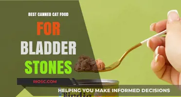 Top Picks for Canned Cat Food to Help Prevent Bladder Stones