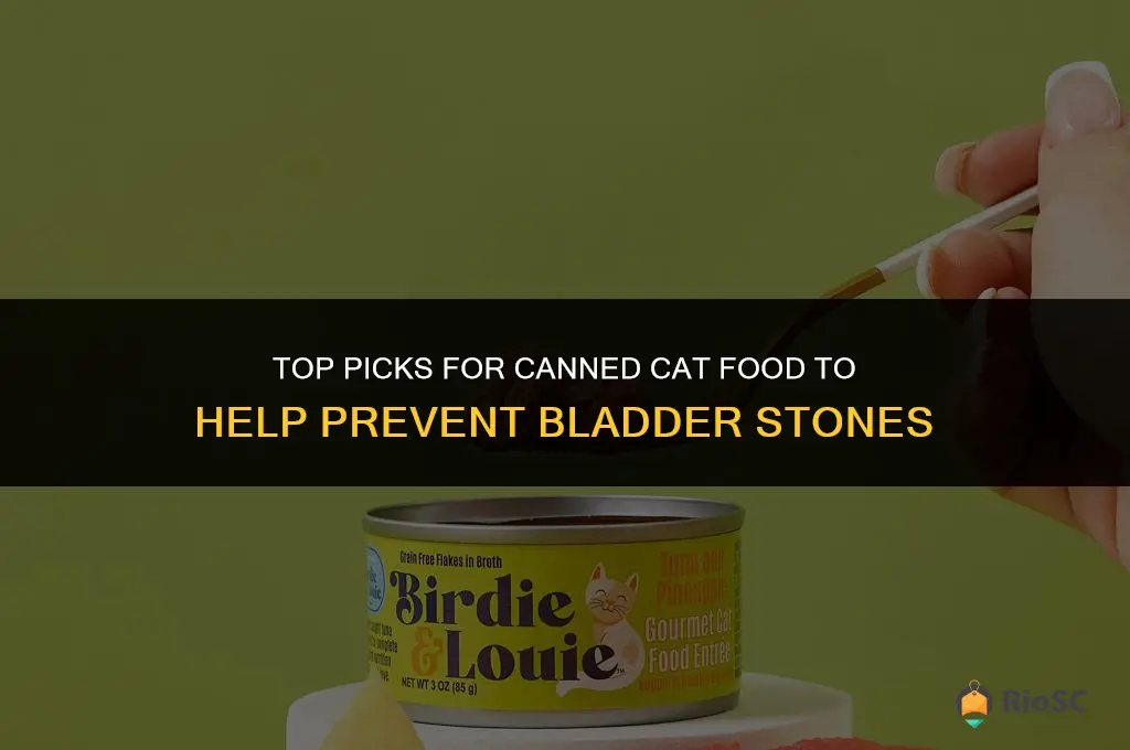best canned cat food for bladder stones