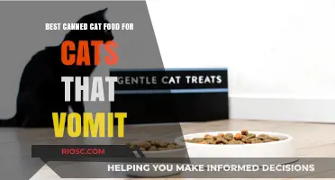 Gentle on the Tummy: Top Canned Cat Food Options for Cats Prone to Vomiting