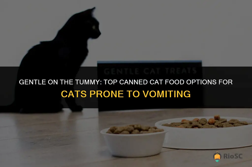 best canned cat food for cats that vomit