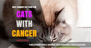Top Picks for Canned Cat Food to Support Your Feline Friend's Health During Cancer Treatment