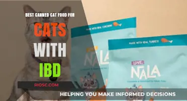 Top Picks for Tummy-Friendly Canned Cat Food: Soothing IBD Symptoms in Your Feline Friend