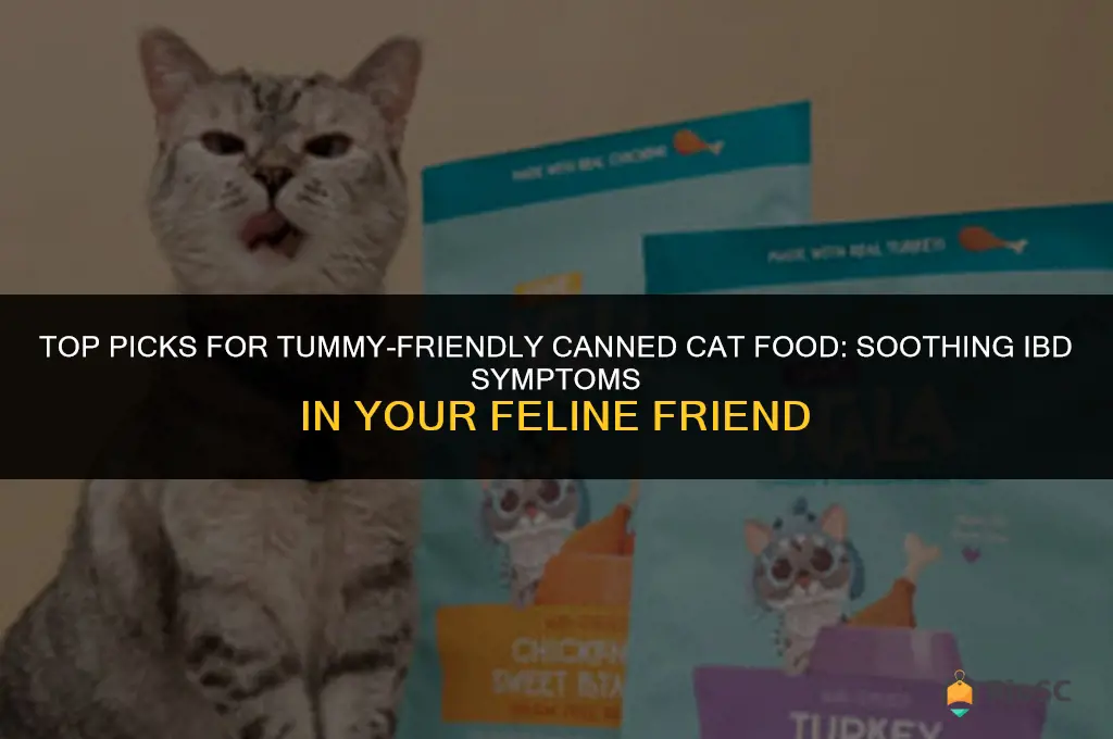 best canned cat food for cats with ibd