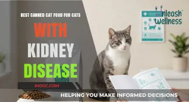 Top Picks for Feline Kidney Health: The Best Canned Cat Foods for Kidney Disease