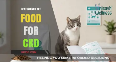 Top Picks for Feline Nutrition: The Best Canned Cat Food Options for Chronic Kidney Disease Management