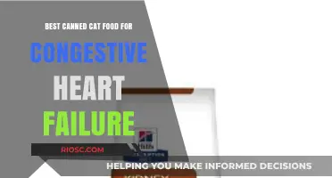 Top Picks for Canned Cat Food Supporting Heart Health in Felines with Congestive Heart Failure