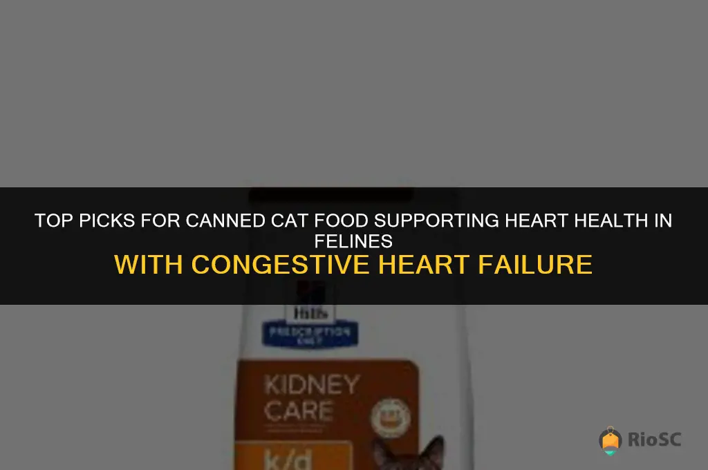 best canned cat food for congestive heart failure