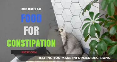 Relief in a Can: Top Picks for the Best Canned Cat Food to Ease Constipation