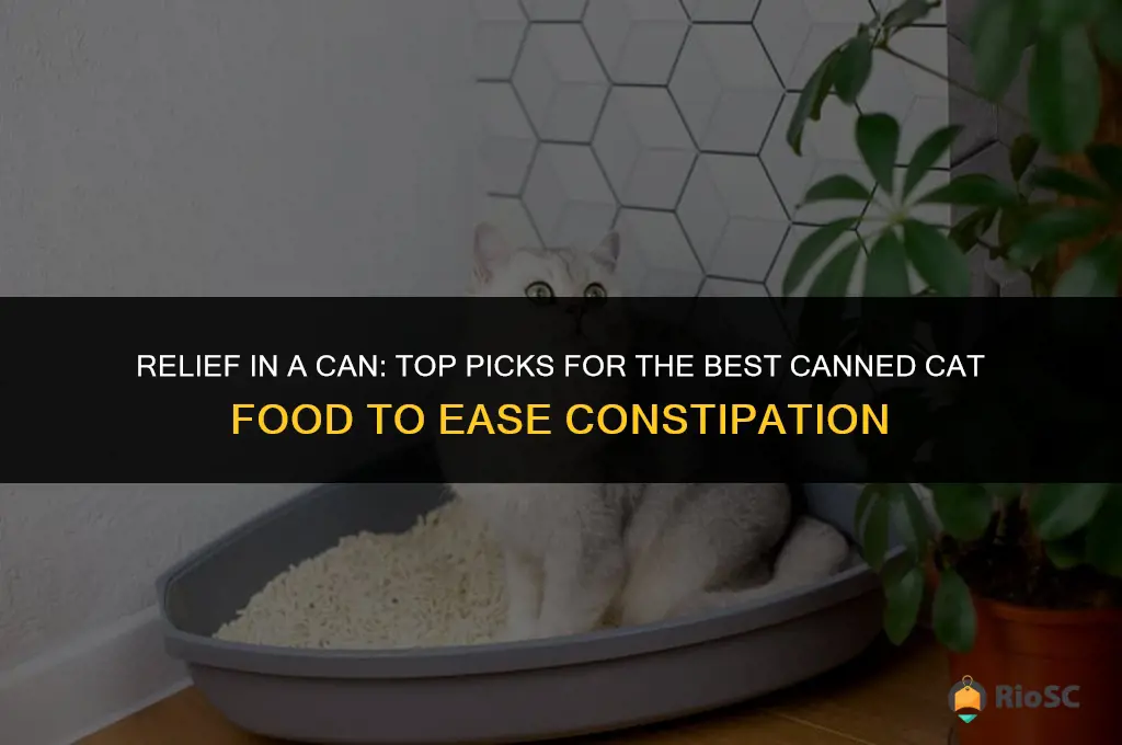 best canned cat food for constipation