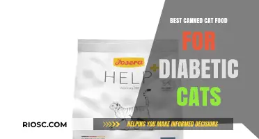 Top Picks for Diabetic-Friendly Canned Cat Food: A Comprehensive Guide